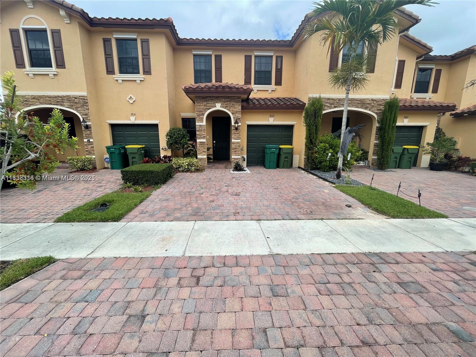 Baywinds Of Galapagos Fir