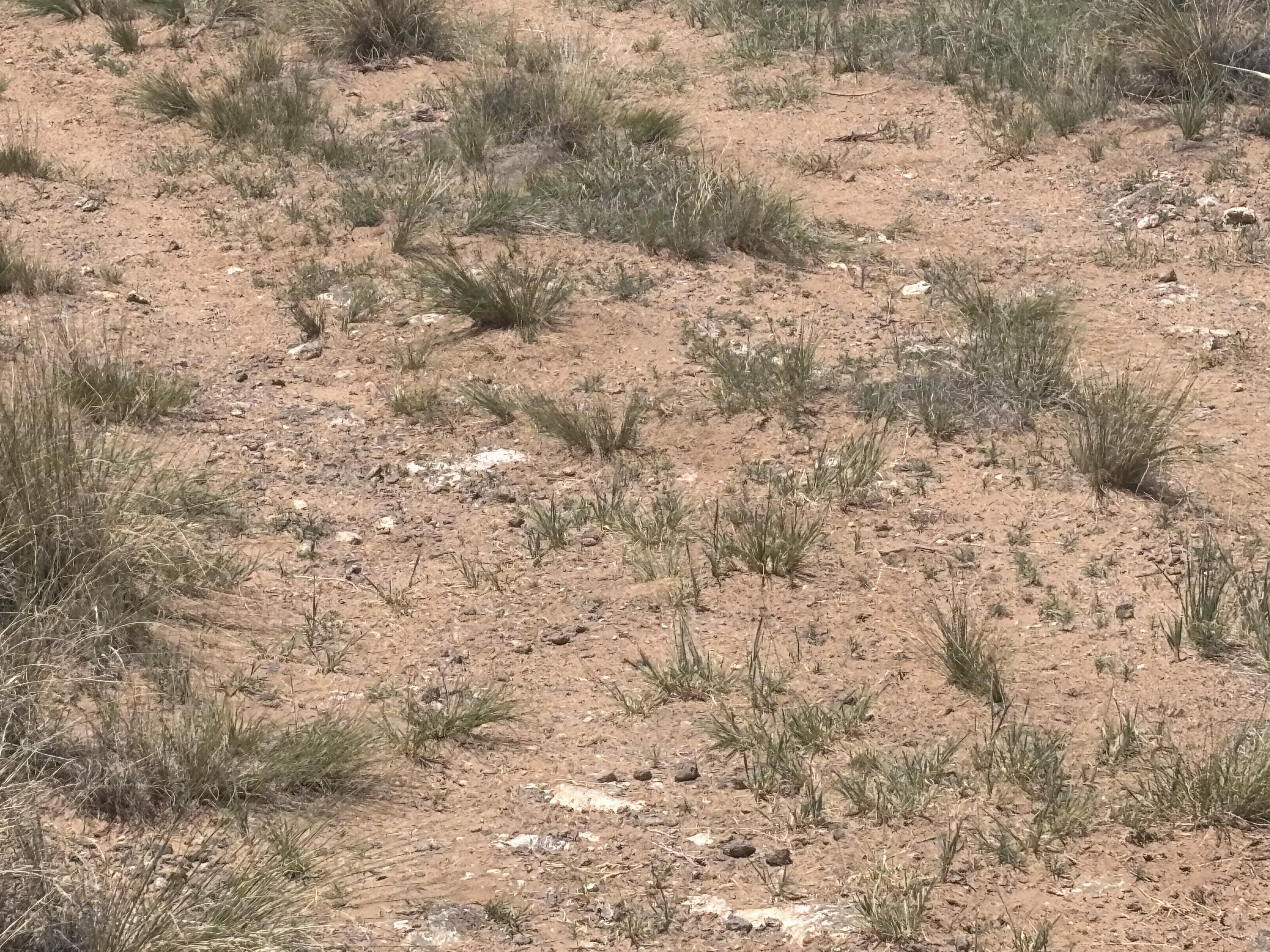 Homes for sale in Albuquerque, NM | Unit 16 Lot 13 Blk 5 Volcano Cliffs, Albuquerque, NM 87120 | MLS# 1087633