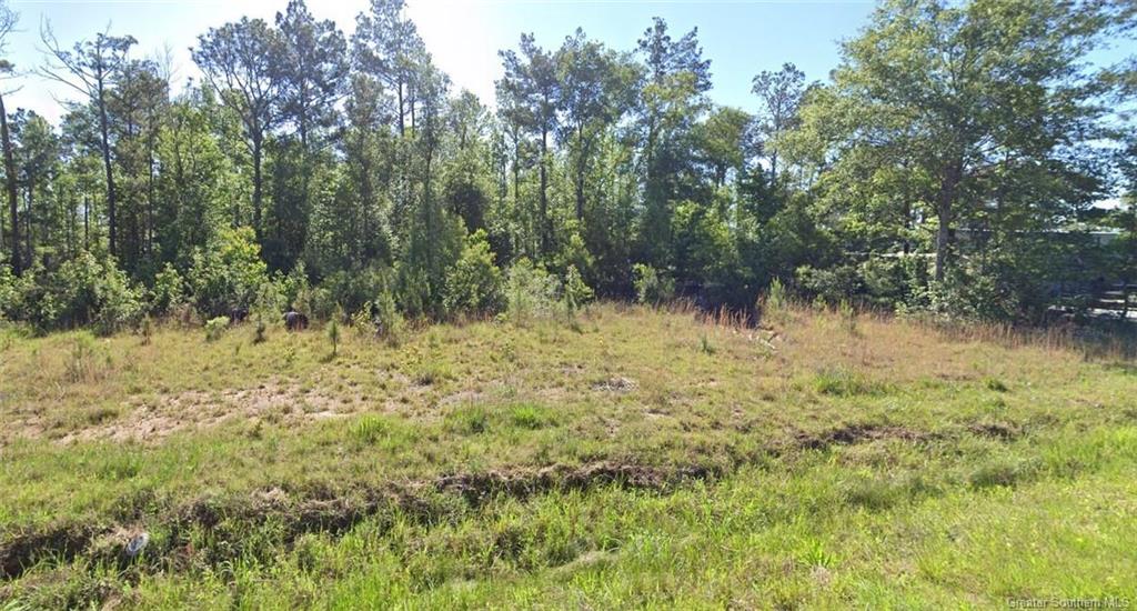 0 Newt Hodges Road — photo 2