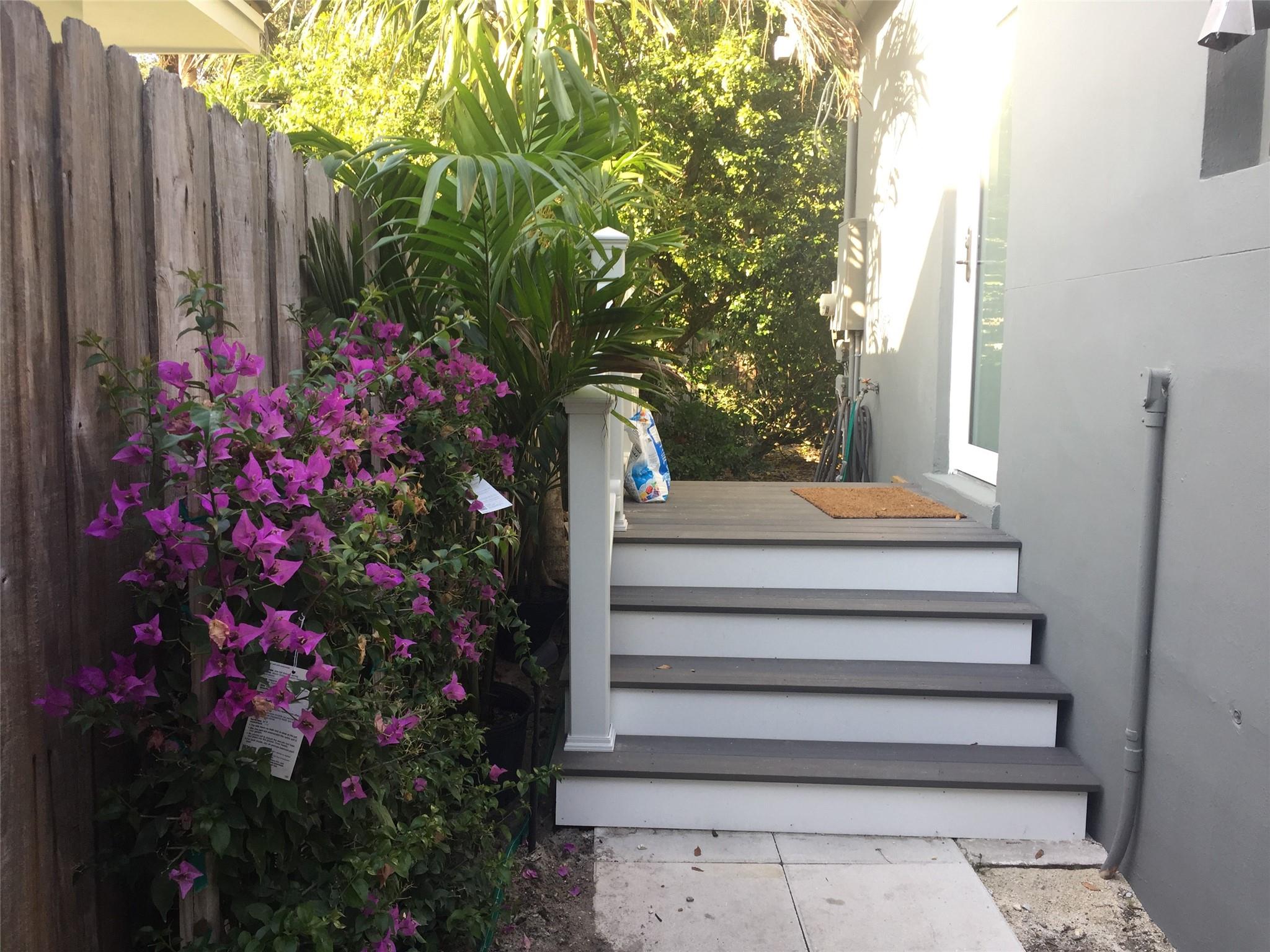 Yellowstone Park Amd