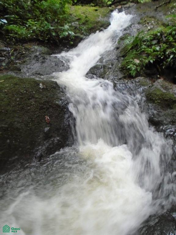 0 bed Land For Sale in San Carlos, Alajuela - 1