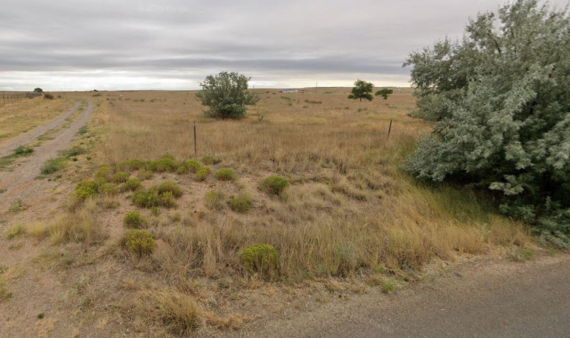 Photo 6 —  Pinto Drive