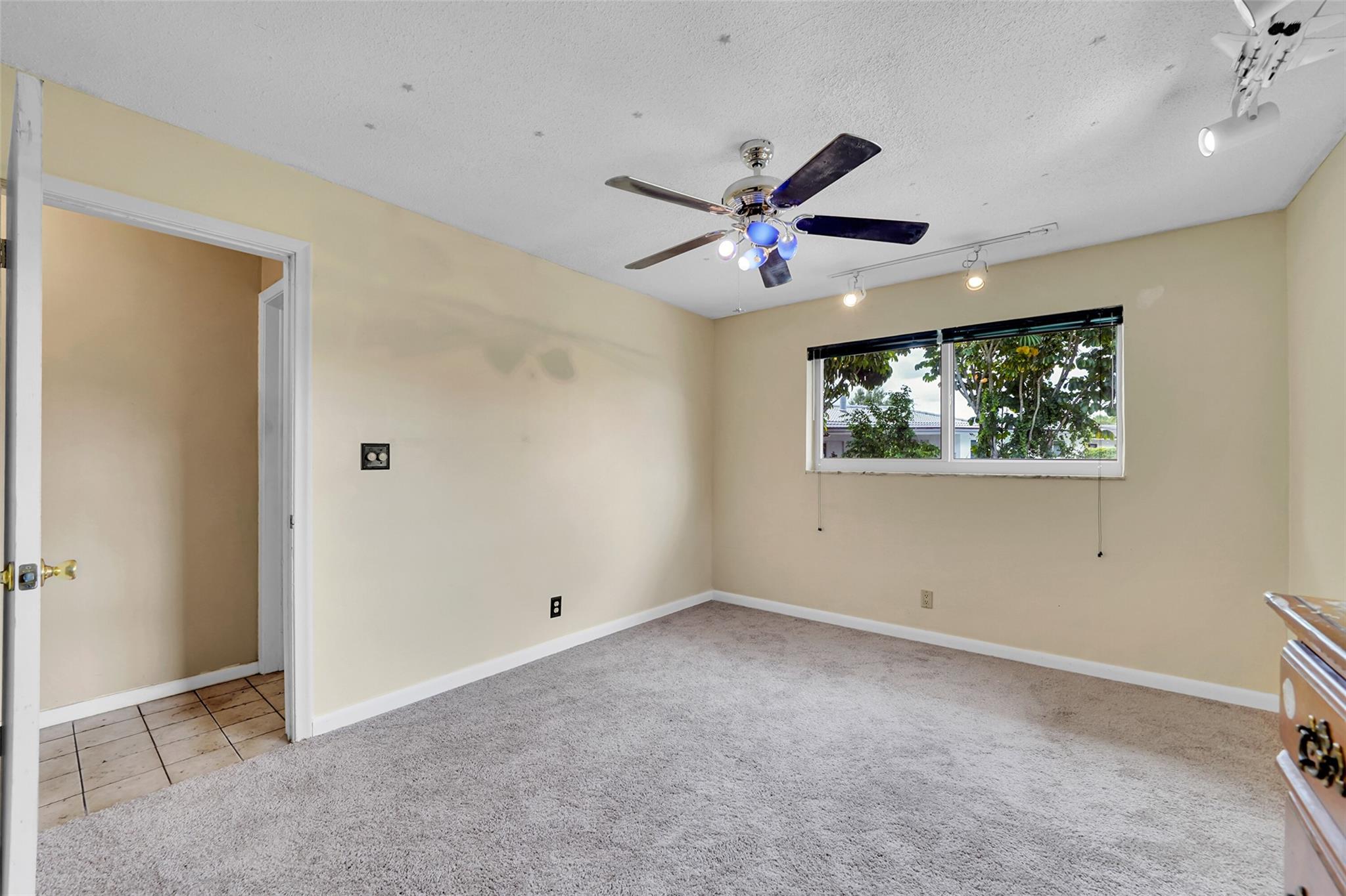 New Carpet and Freshly Painted