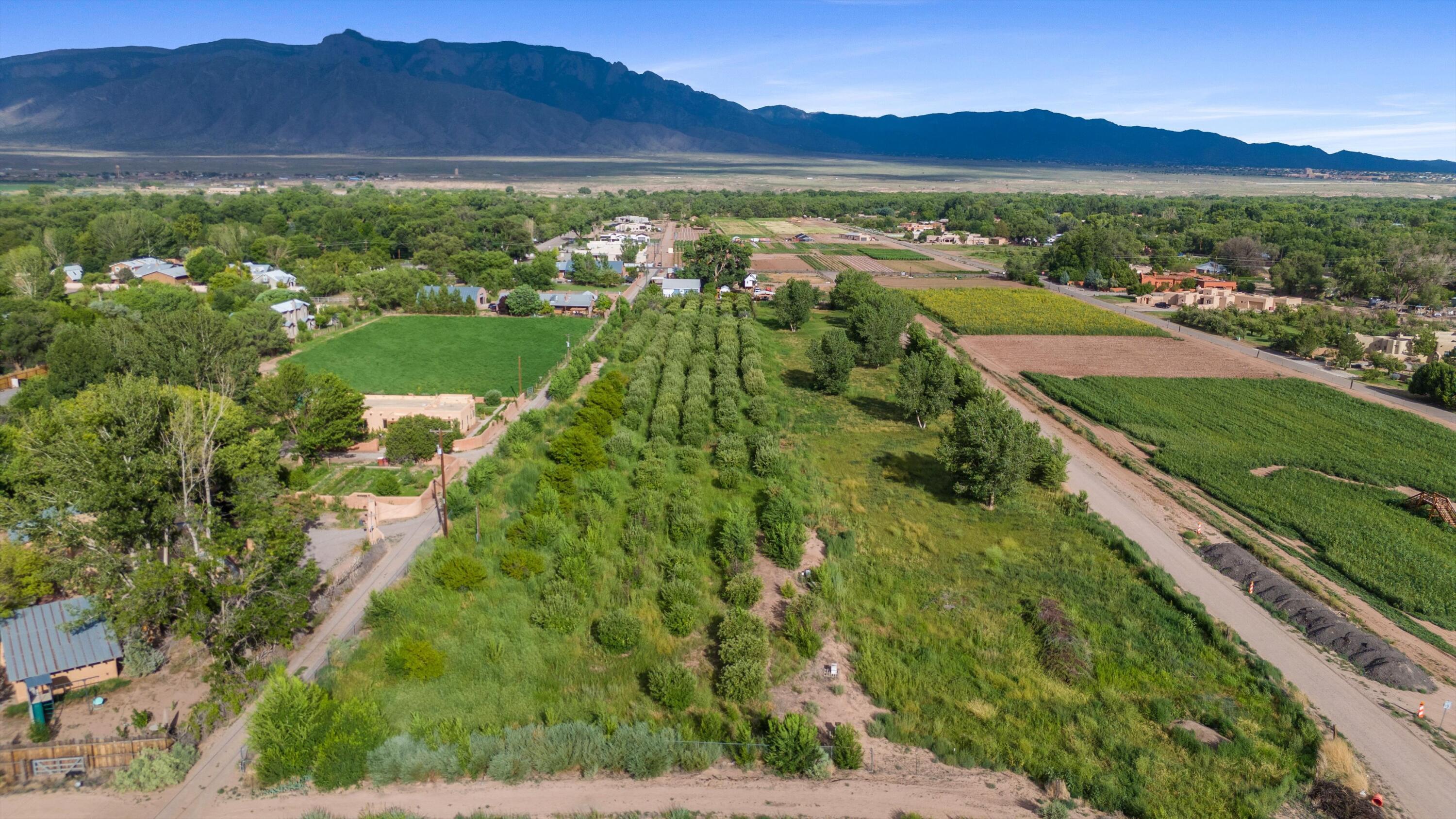 Homes for sale in Corrales, NM | 6461 Corrales Rd, Corrales, NM 87048 | MLS# 1087760