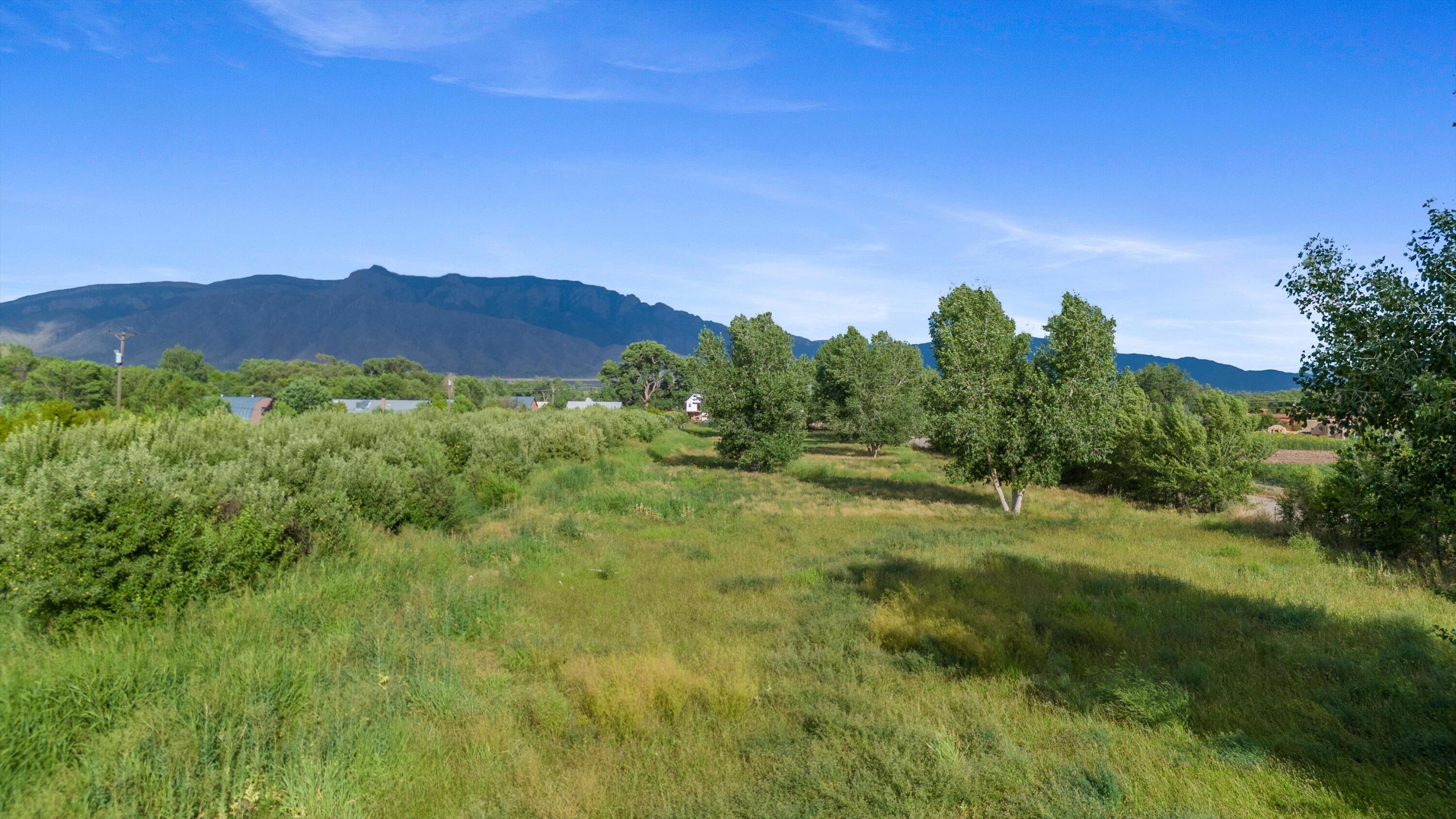 Homes for sale in Corrales, NM | 6461 Corrales Rd, Corrales, NM 87048 | MLS# 1087760