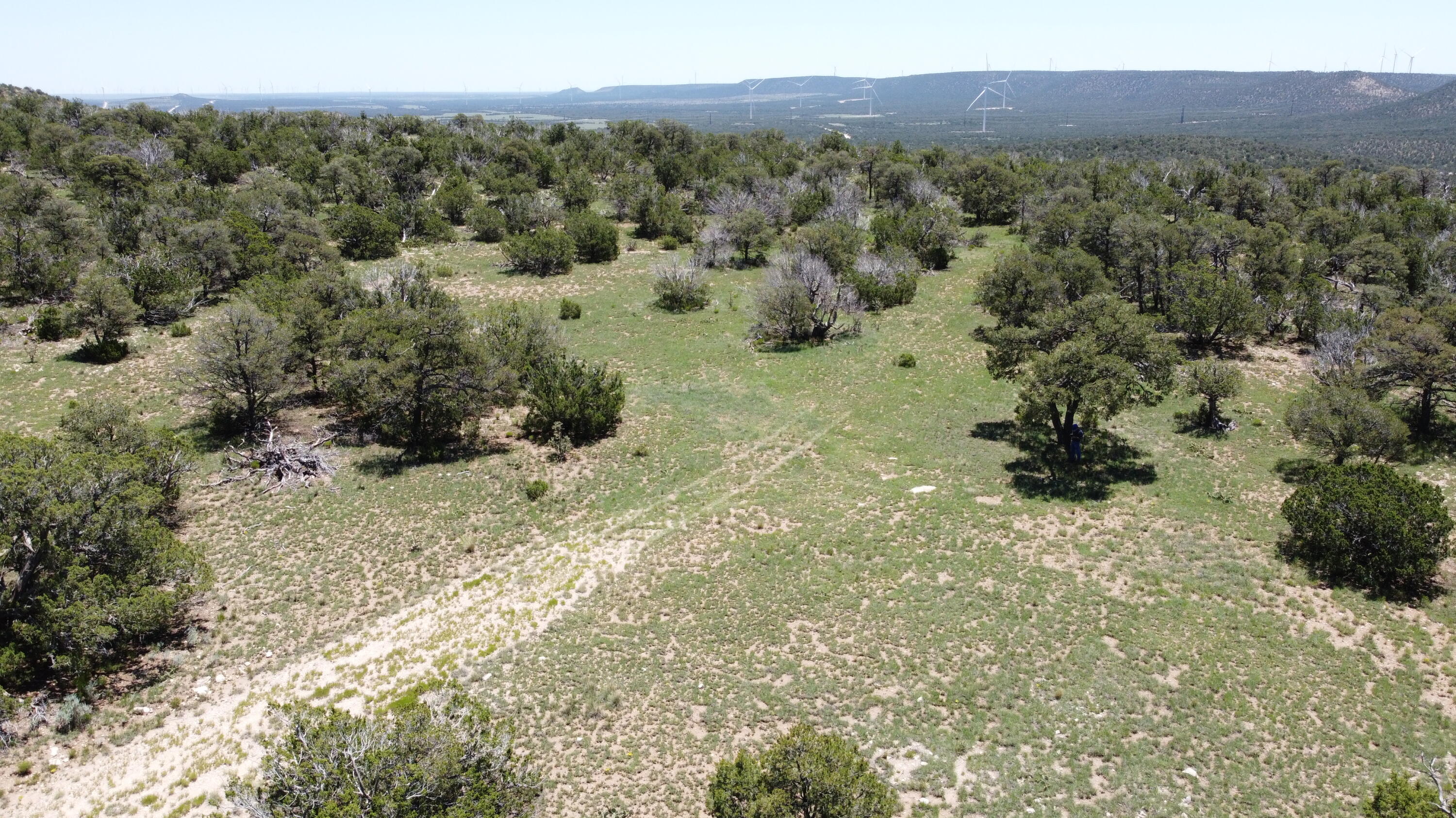 Homes for sale in Corona, NM | Lot 16 Swayback Trail, Corona, NM 88318 | MLS# 1087764