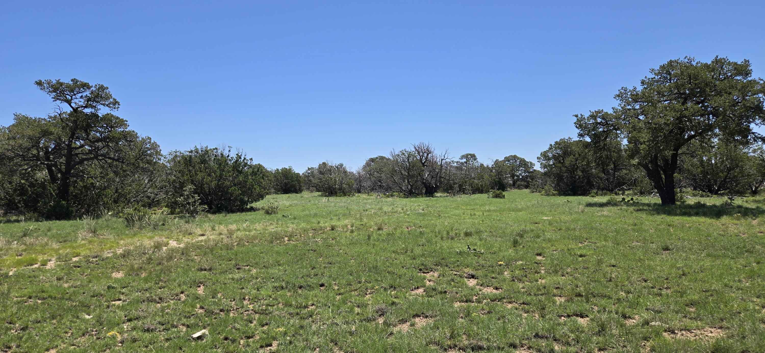 Homes for sale in Corona, NM | Lot 16 Swayback Trail, Corona, NM 88318 | MLS# 1087764