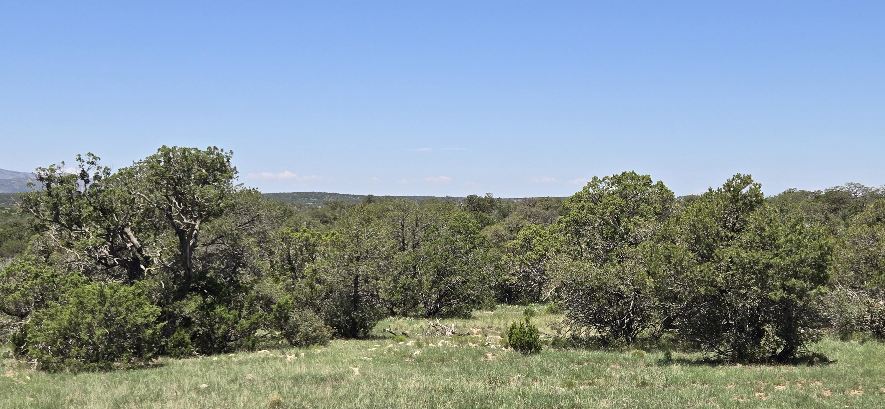Homes for sale in Corona, NM | Lot 16 Swayback Trail, Corona, NM 88318 | MLS# 1087764