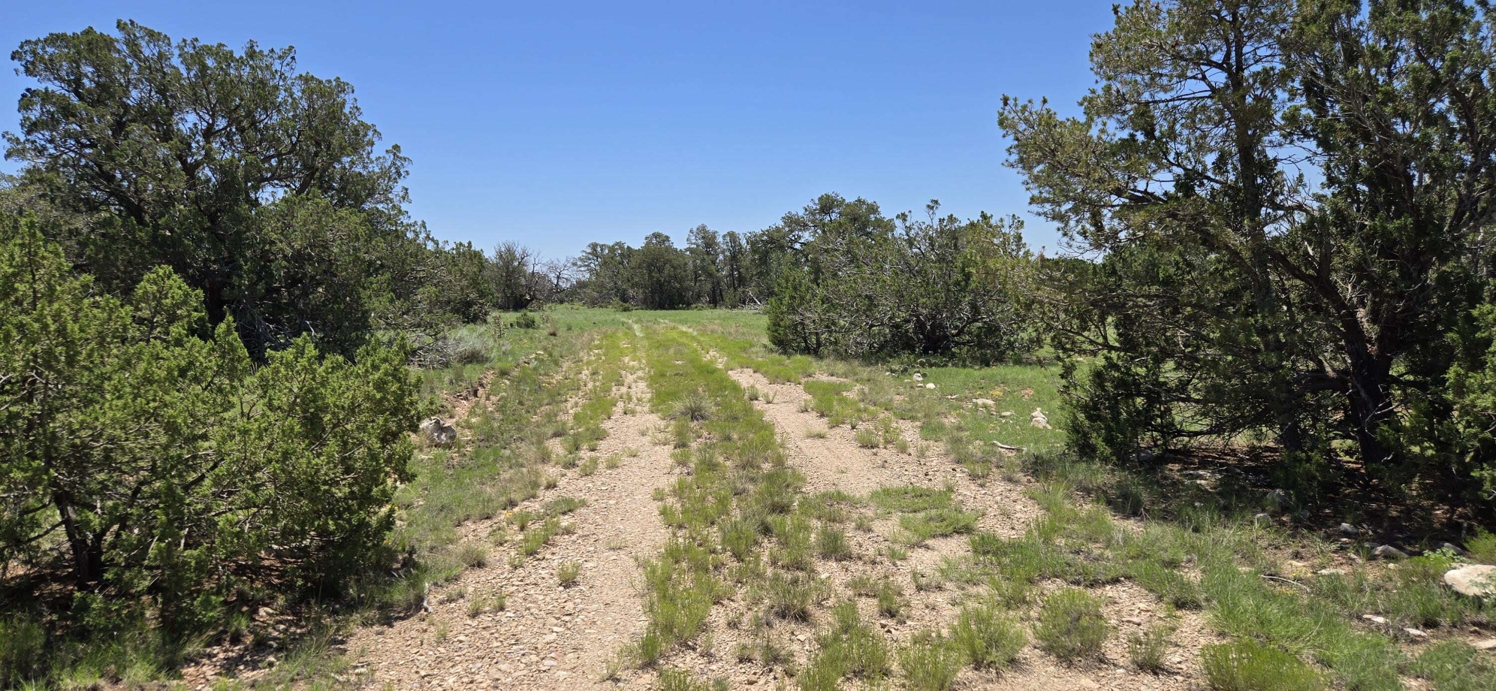 Homes for sale in Corona, NM | Lot 16 Swayback Trail, Corona, NM 88318 | MLS# 1087764