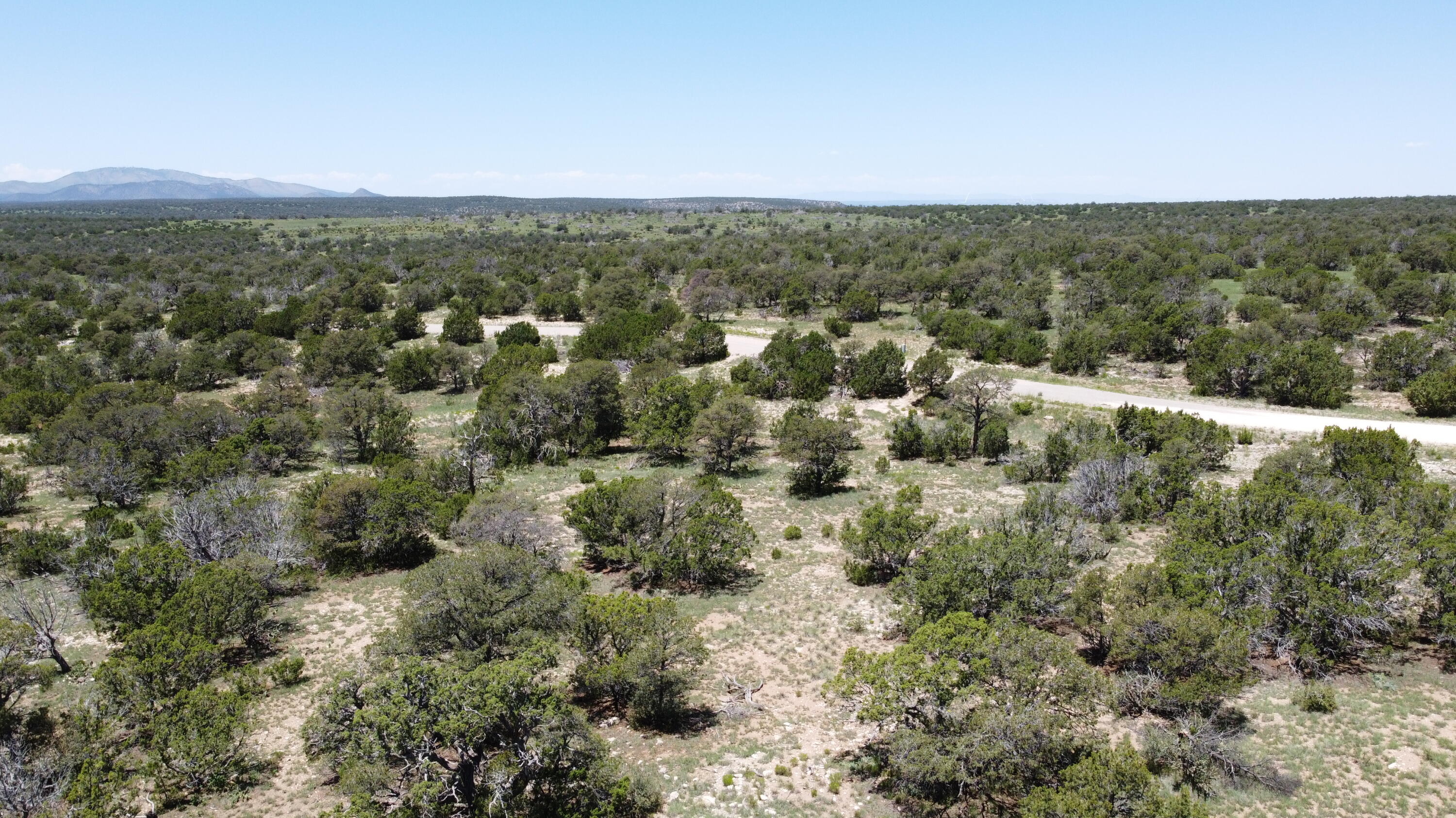 Homes for sale in Corona, NM | Lot 16 Swayback Trail, Corona, NM 88318 | MLS# 1087764