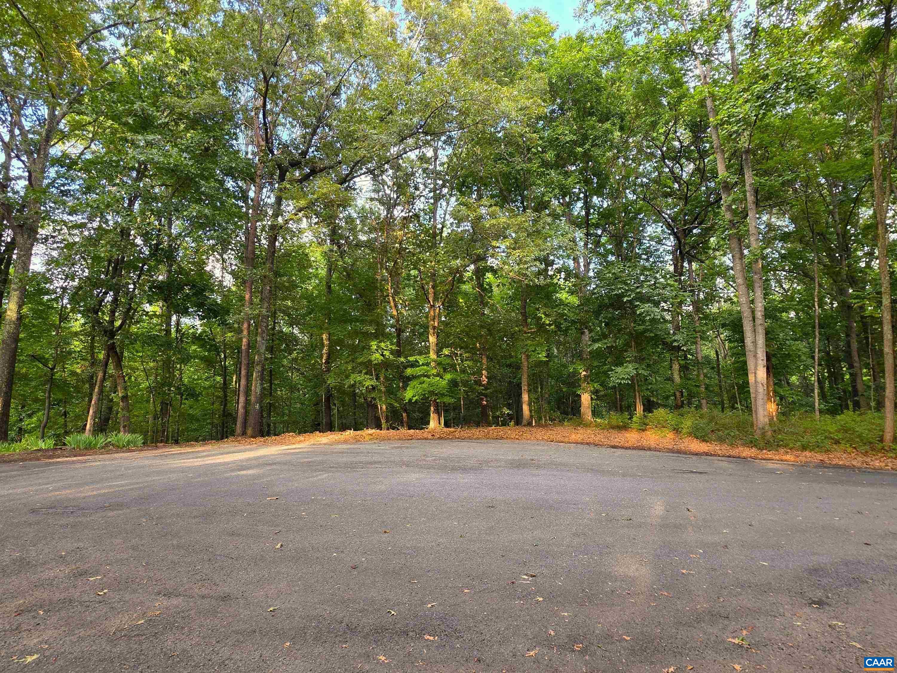 Lot 22 Mountain Laurel Rdg