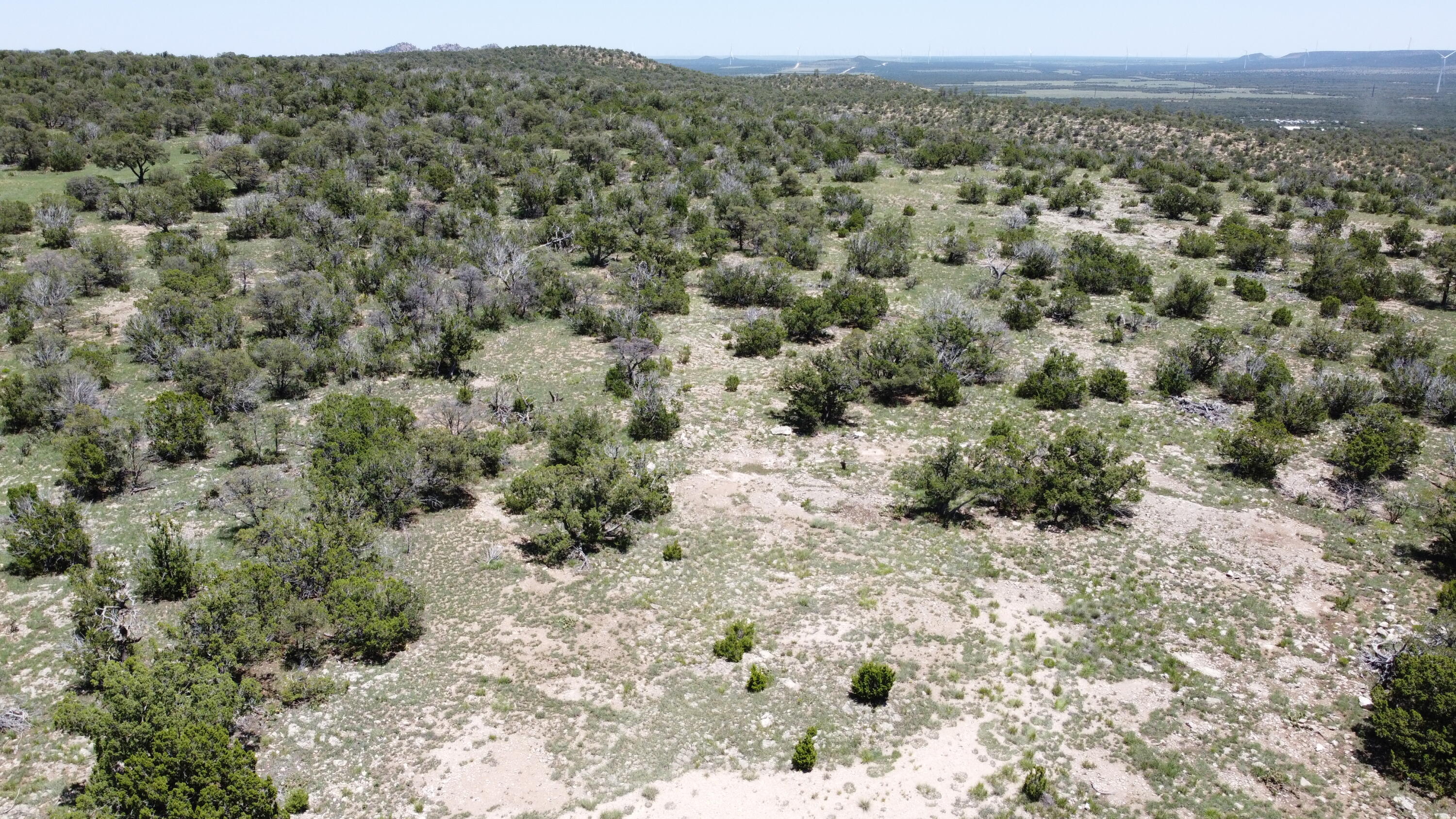 Homes for sale in Corona, NM | Lot 17 Swayback Trail, Corona, NM 88318 | MLS# 1087766