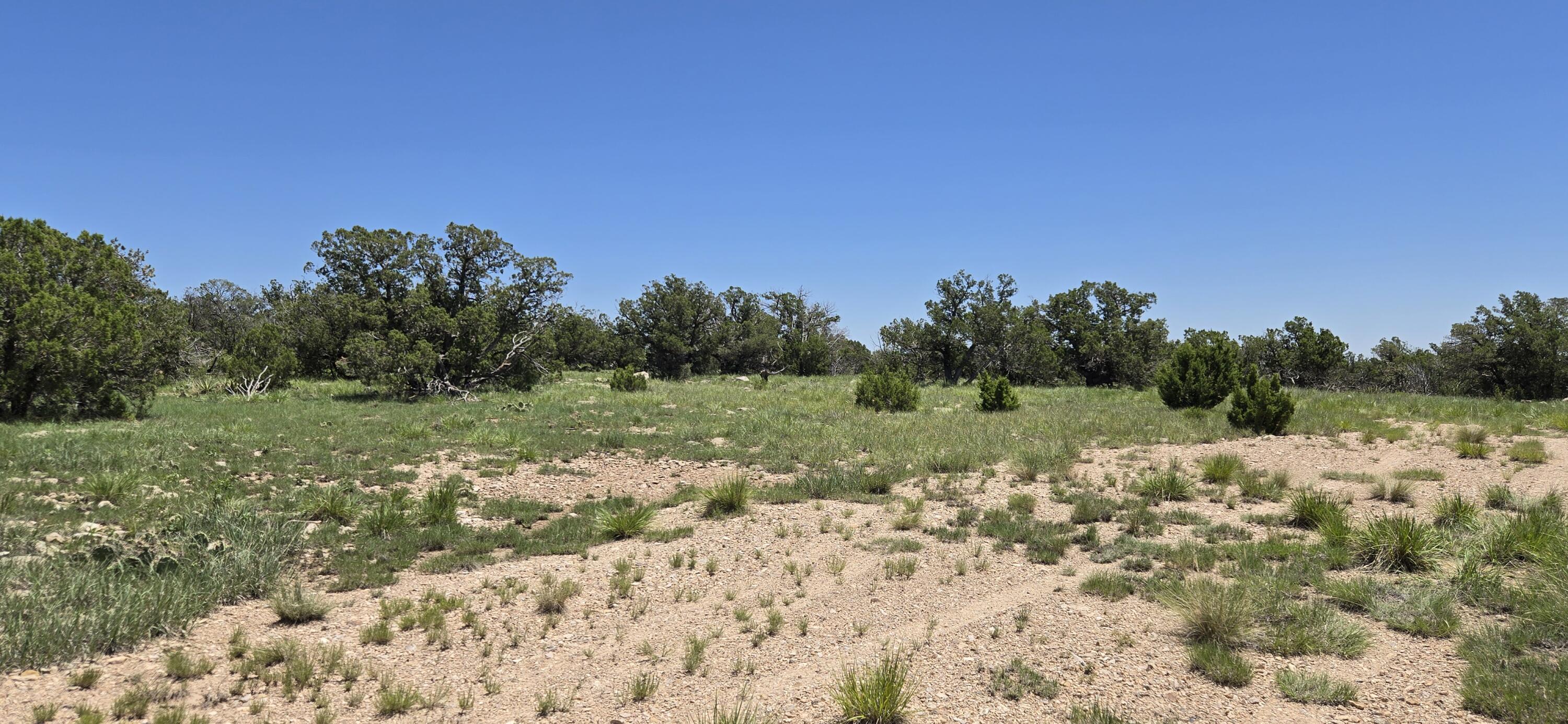 Homes for sale in Corona, NM | Lot 17 Swayback Trail, Corona, NM 88318 | MLS# 1087766