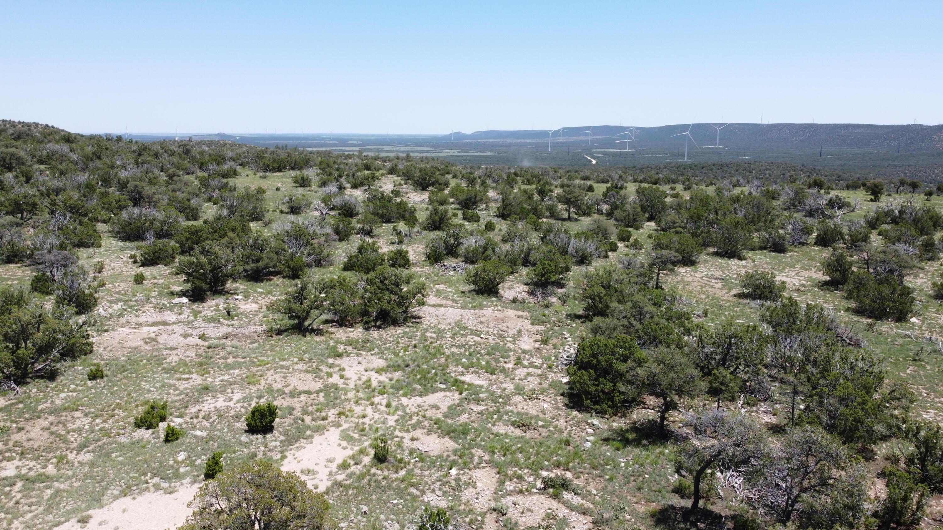 Homes for sale in Corona, NM | Lot 17 Swayback Trail, Corona, NM 88318 | MLS# 1087766