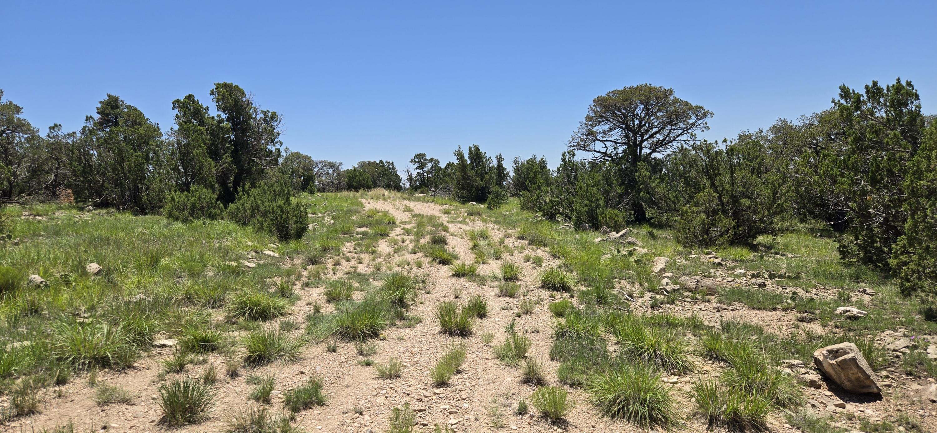 Homes for sale in Corona, NM | Lot 17 Swayback Trail, Corona, NM 88318 | MLS# 1087766