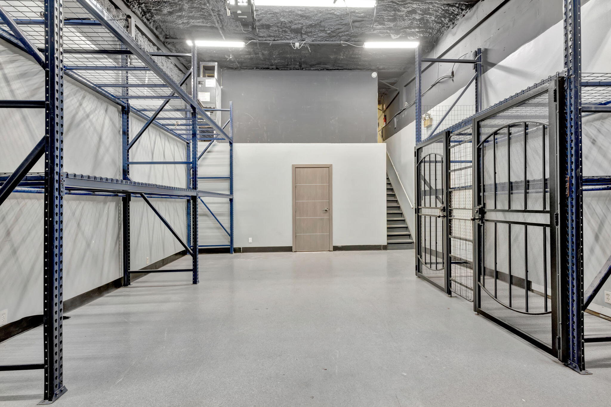 Two Twenty Eight Hibiscus