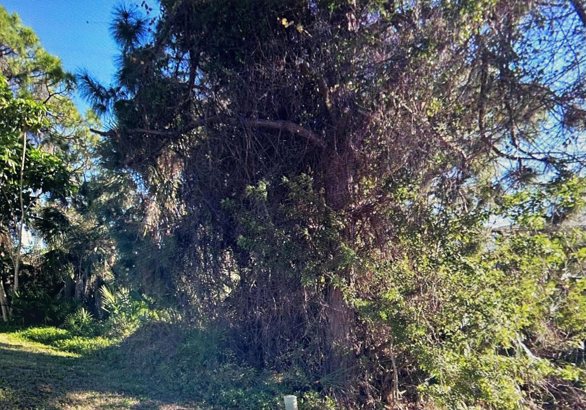 South Venice Unit 28