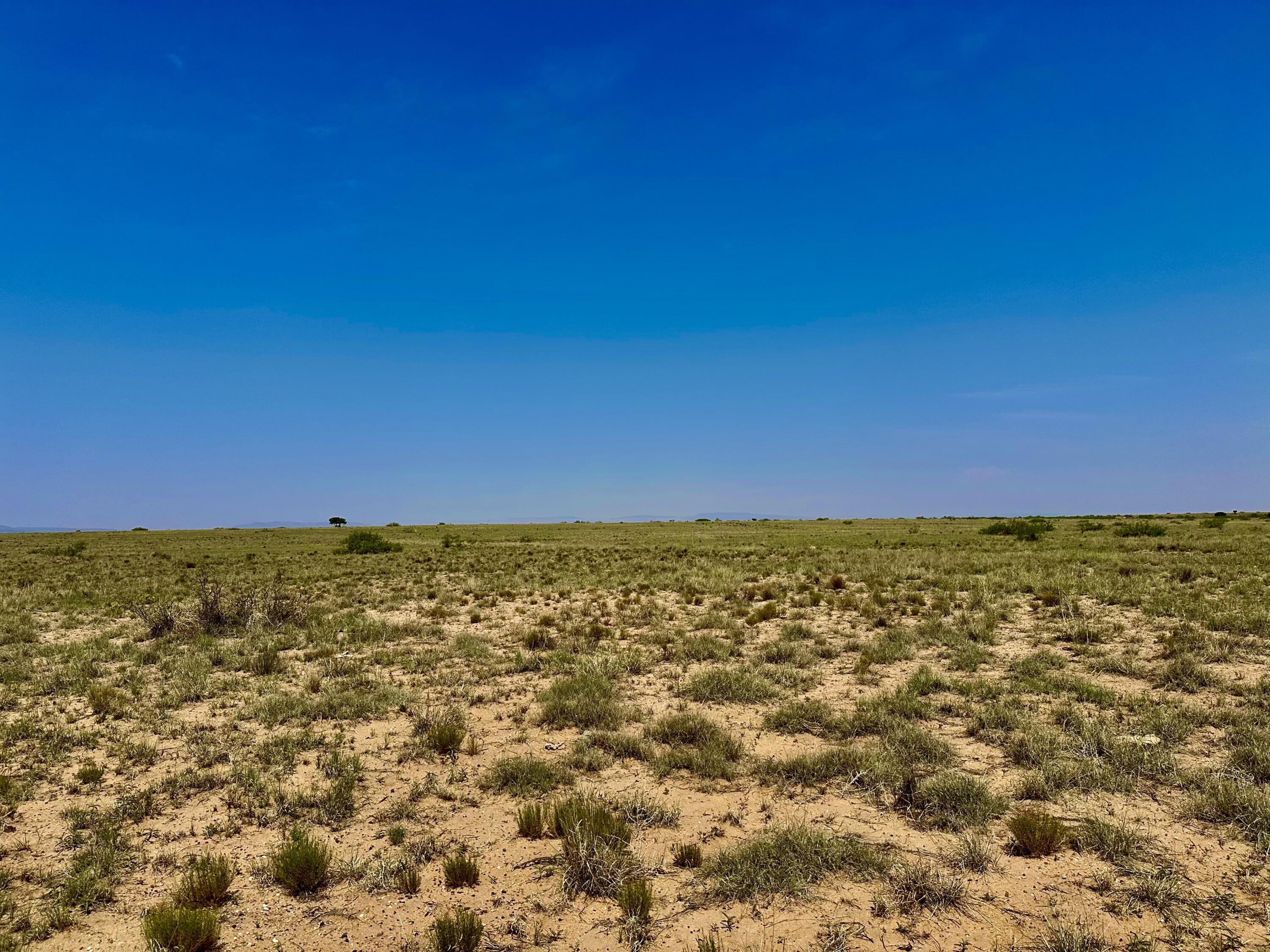 Homes for sale in Bosque, NM | Lot 22 Westbelengrantextboundaries, Bosque, NM 87006 | MLS# 1087858