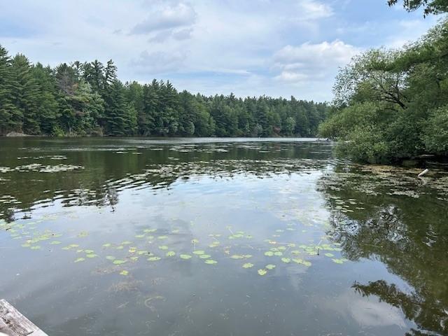 Undocumented Lake Property 5076 Hwy 70 Photo 7