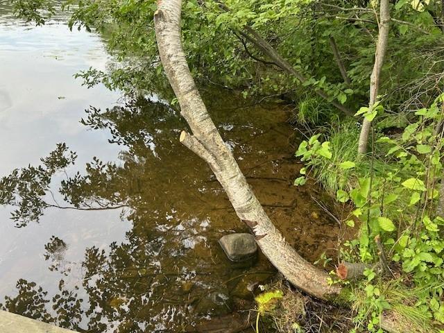 Undocumented Lake Property 5076 Hwy 70 Photo 8