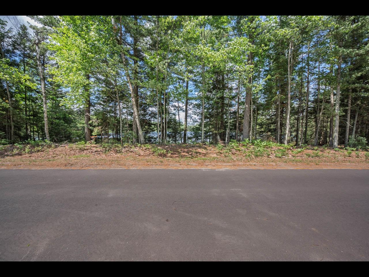 Clearwater Lake Property Lot 139 Clearwater Lake Tr Photo 16
