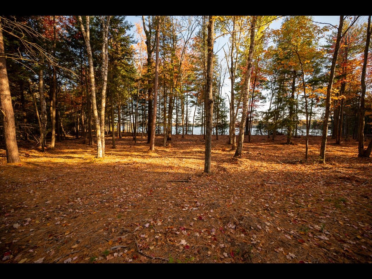 Clearwater Lake Property Lot 139 Clearwater Lake Tr Photo 6