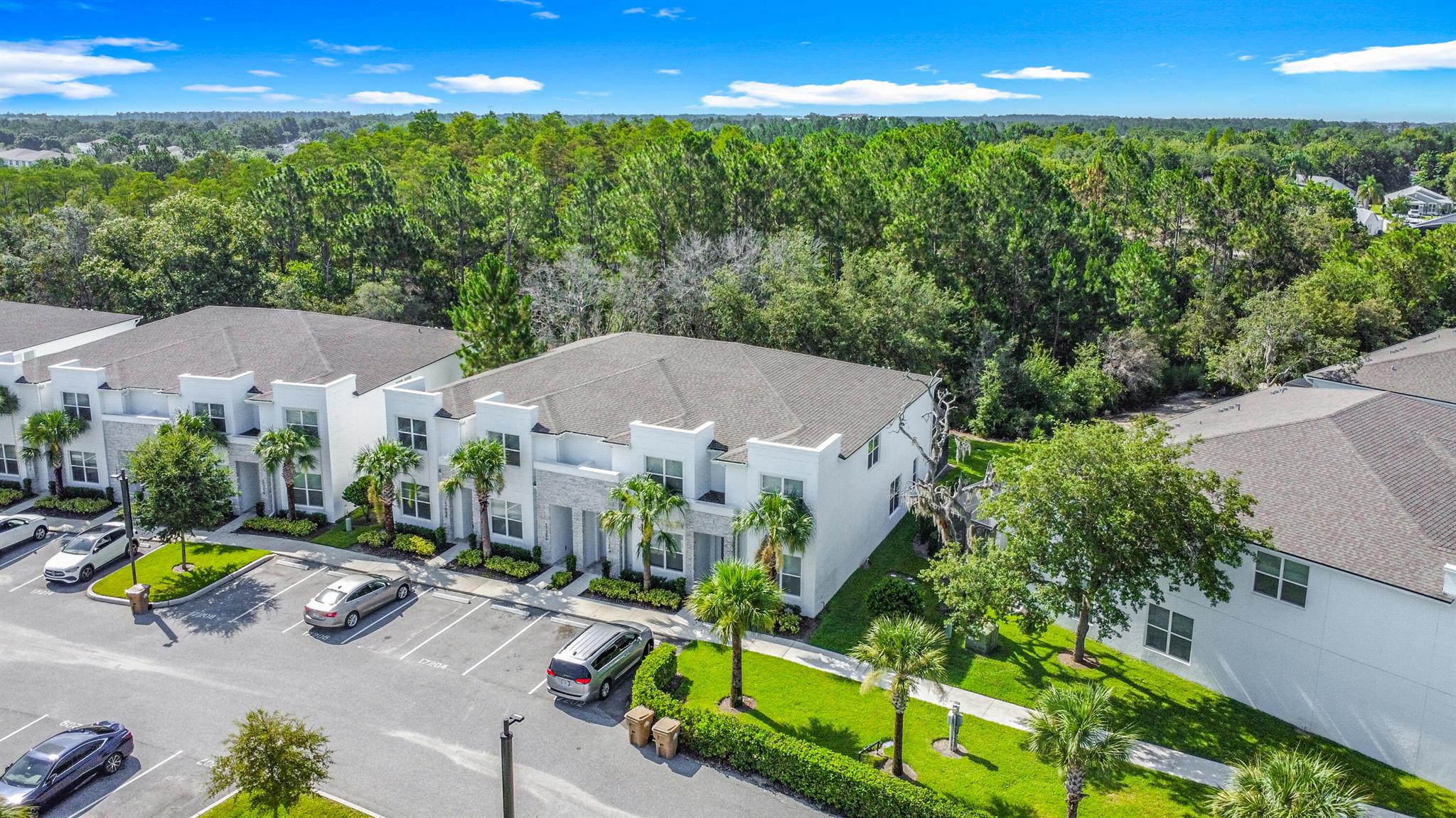 Hidden Forest At Silver C