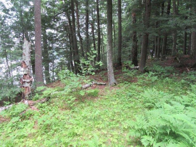 Muskesin Lake Property ON Arbor Ln Photo 10