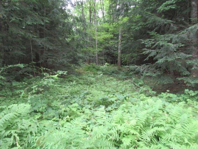 Picture 11 - Muskesin Lake Property 213296