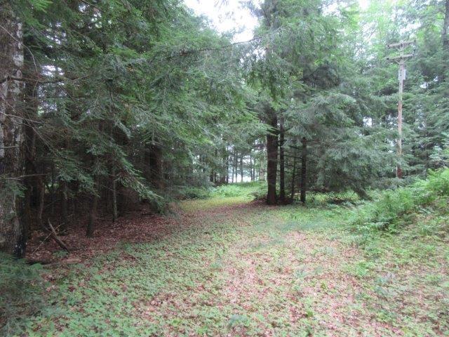 Picture 8 - Muskesin Lake Property 213296