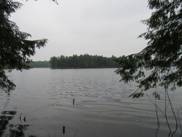 Picture 7 - Muskesin Lake Property 213296
