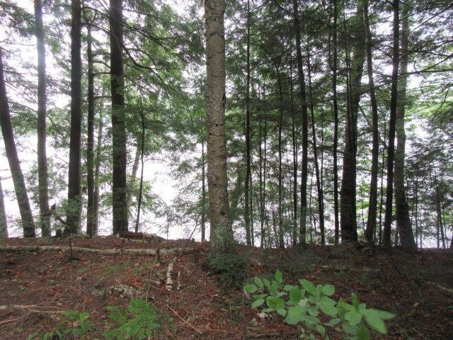 Picture 6 - Muskesin Lake Property 213296