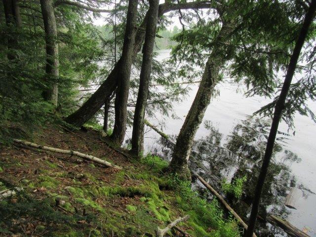 Picture 5 - Muskesin Lake Property 213296