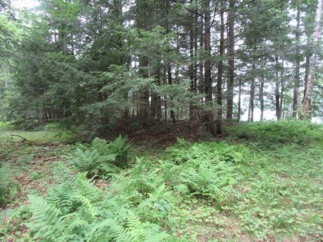 Picture 3 - Muskesin Lake Property 213296