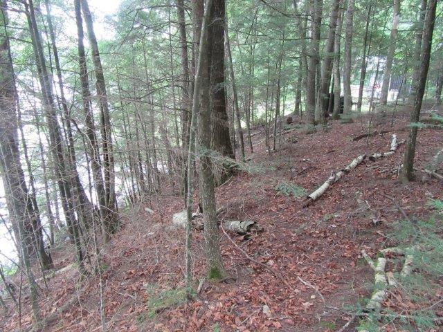 Picture 2 - Muskesin Lake Property 213296