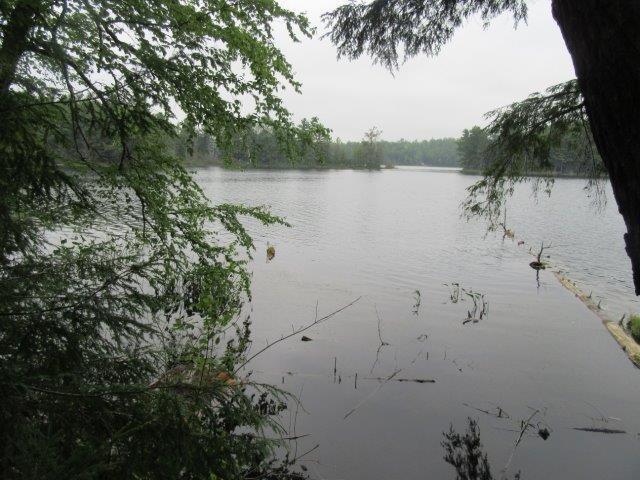 Picture 18 - Muskesin Lake Property 213296