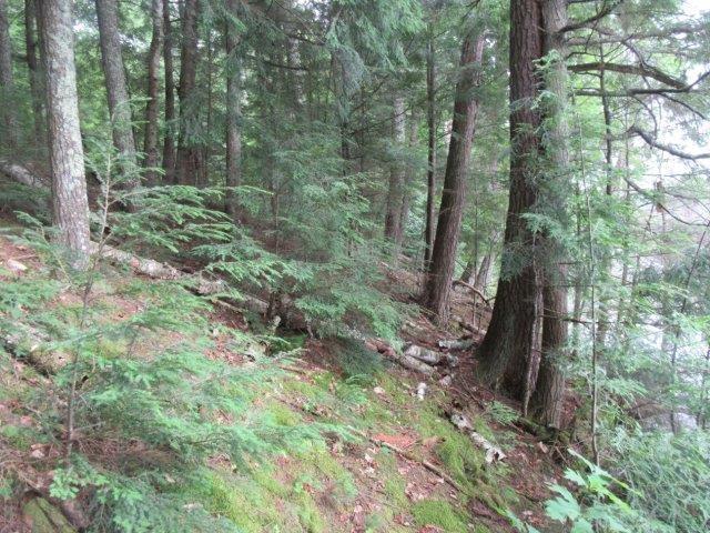 Picture 17 - Muskesin Lake Property 213296