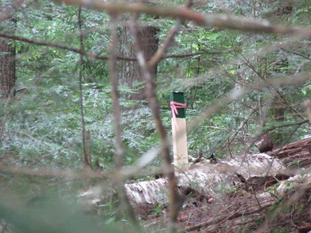 Picture 16 - Muskesin Lake Property 213296