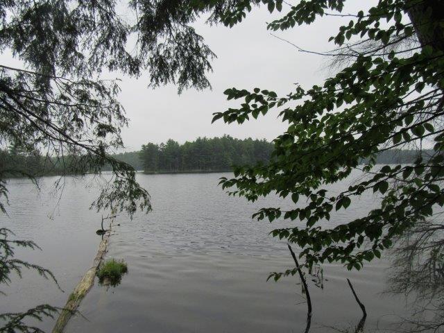 Muskesin Lake Property ON Arbor Ln Photo 8