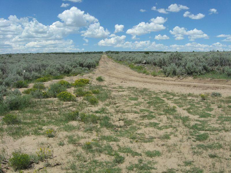 Homes for sale in Taos, NM | Us 64 Tres Piedras, Taos, NM 87571 | MLS# 1087942