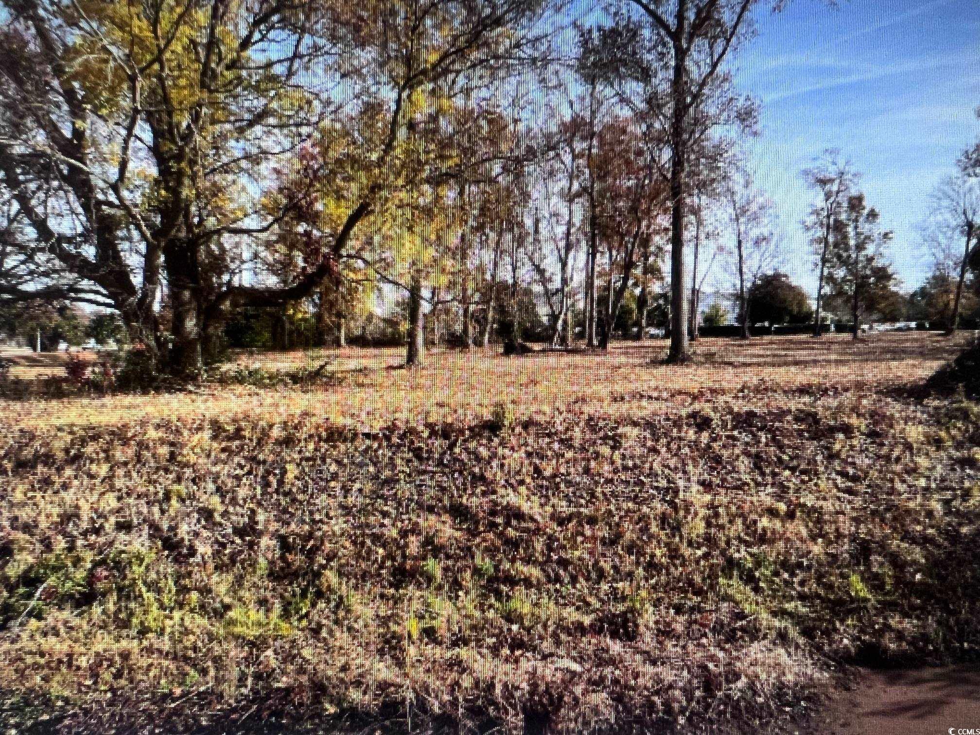 2517456 | Photo 6