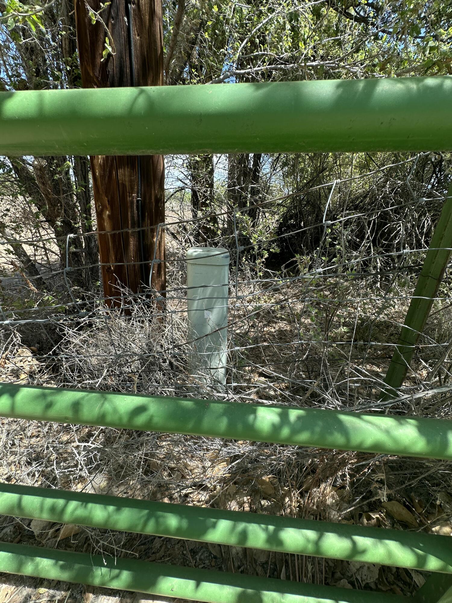 Homes for sale in Pena Blanca, NM | 731 Lewis Ln, Pena Blanca, NM 87041 | MLS# 1087961