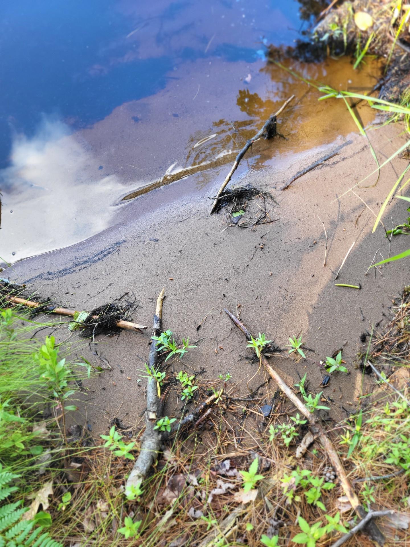 Lake Creek Property 4239 Forest Point Dr Photo 11