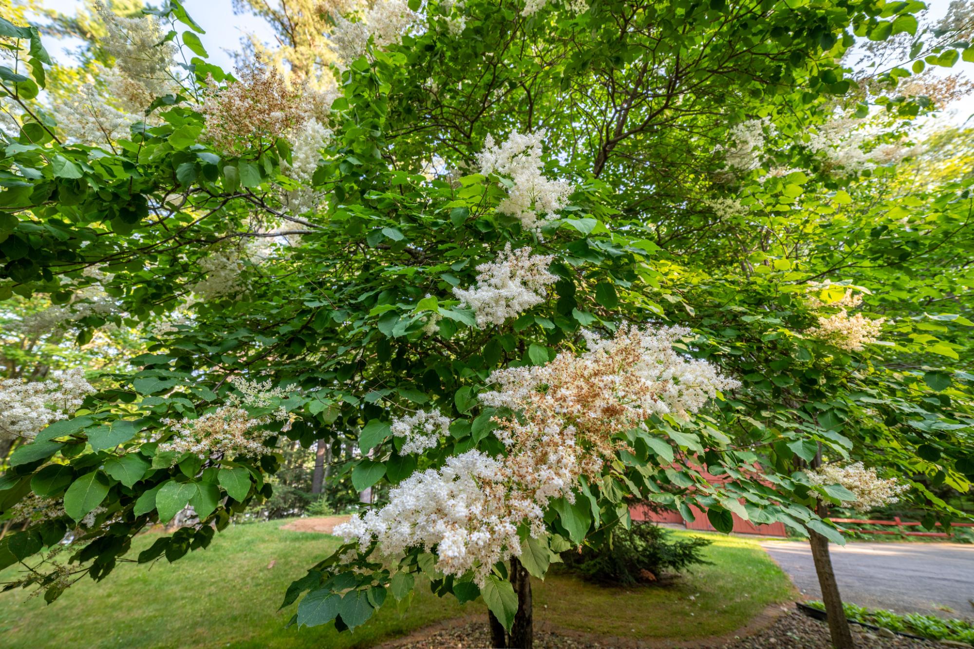 Lake Creek Property 4239 Forest Point Dr Photo 51