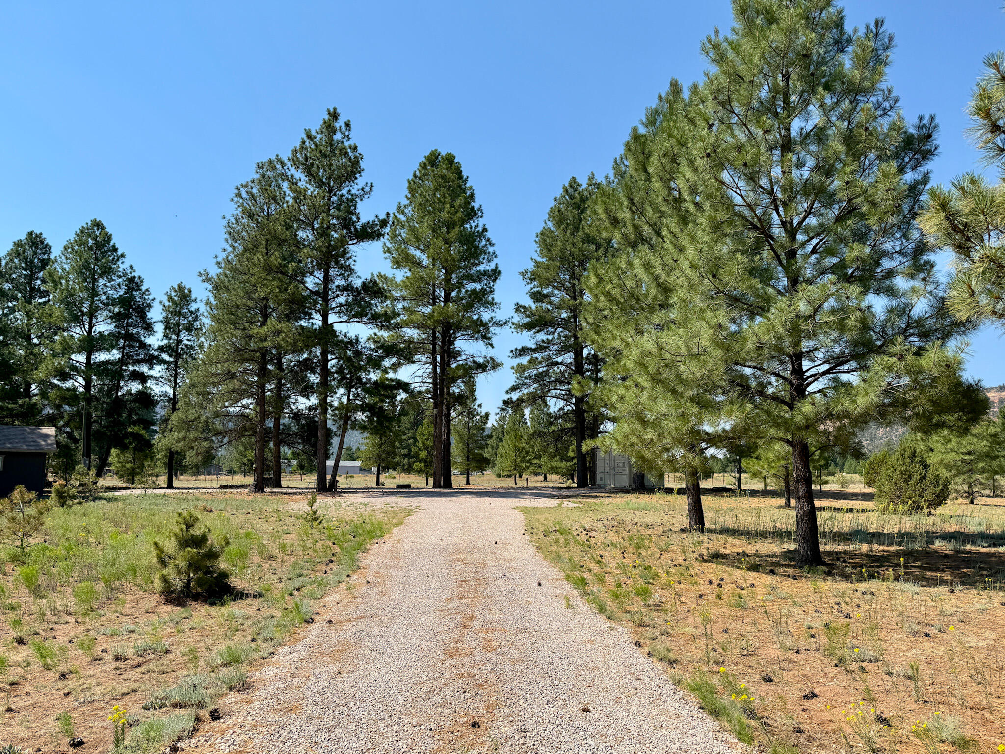 Homes for sale in Ramah, NM | 747 Timberlake Rd, Ramah, NM 87321 | MLS# 1087969