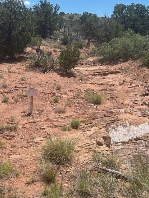 Photo 20 — 250 Moonlight Ridge Road