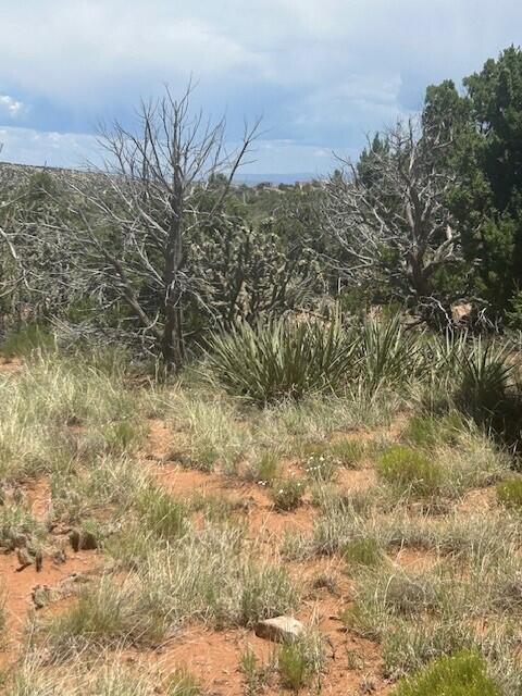 Homes for sale in Placitas, NM | 269 Star Meadow Rd, Placitas, NM 87043 | MLS# 1087985