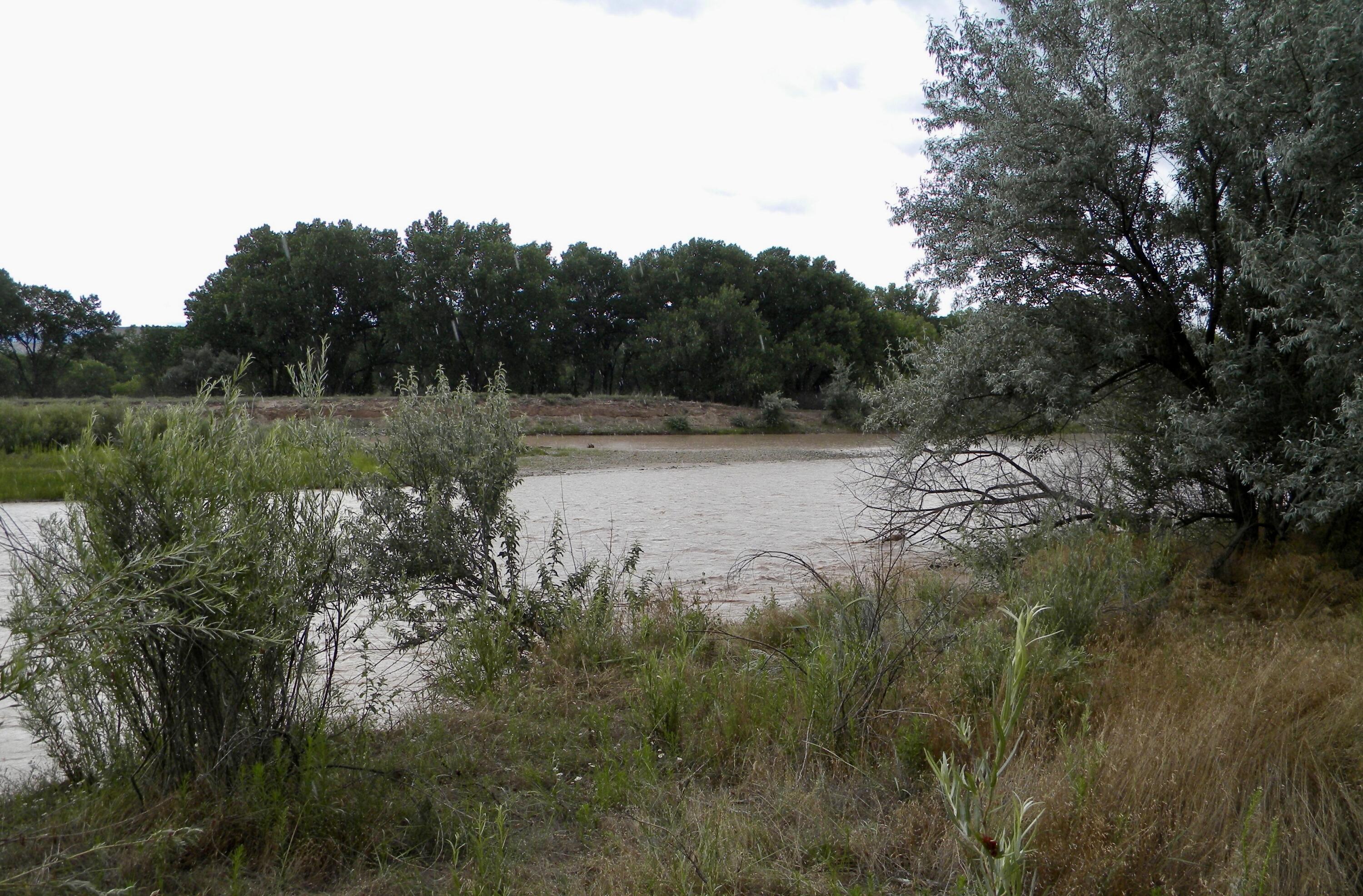 Homes for sale in La Mesilla, NM | Co Rd 120, La Mesilla, NM 87532 | MLS# 1088096