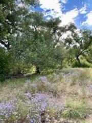 Homes for sale in La Mesilla, NM | Co Rd 120, La Mesilla, NM 87532 | MLS# 1088096