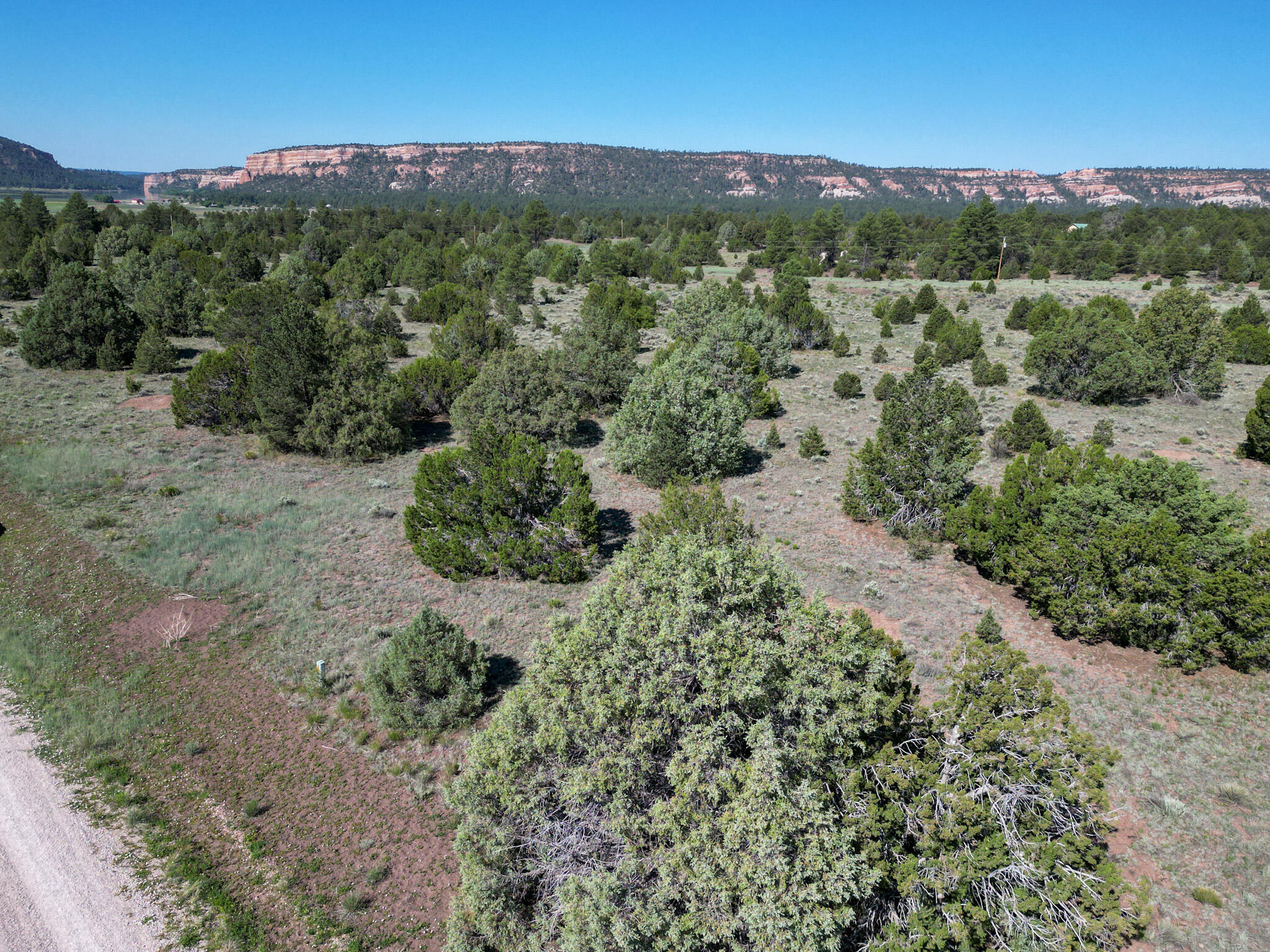 Homes for sale in Ramah, NM | Lot 15 Buttonwood Dr, Ramah, NM 87321 | MLS# 1088102
